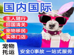乌兰浩特义勒力特空运国际宠物托运 【国